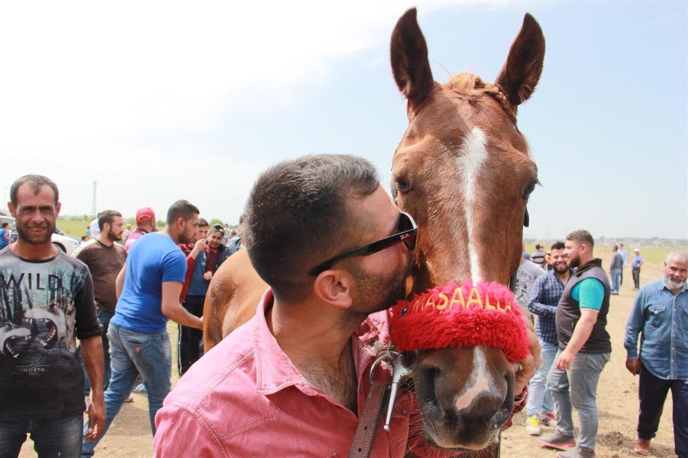 Veli Efendi Değil, Edirne