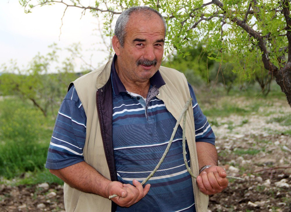 Geleneksel Yöntemlerle Su Arıyor