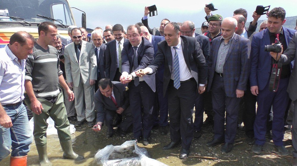 Beyşehir Gölü’ne 450 Bin Yavru Sazan Balığı Bırakıldı