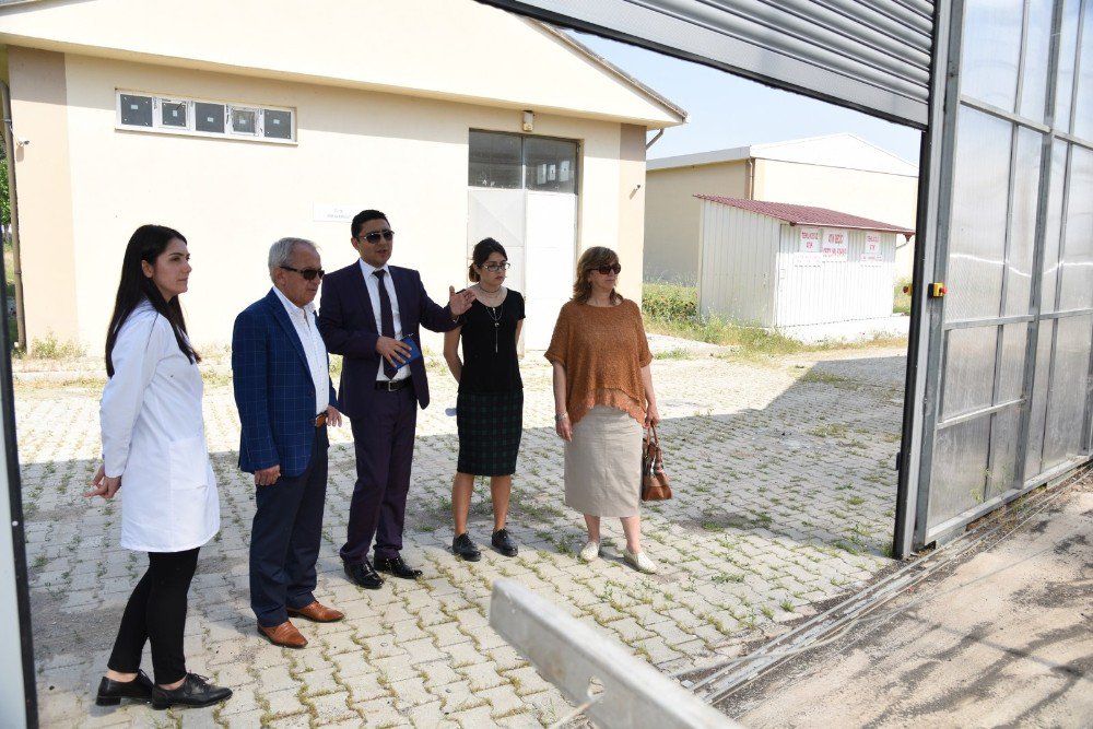 Genel Müdür Coşkun’dan Çevreci Yatırıma İnceleme