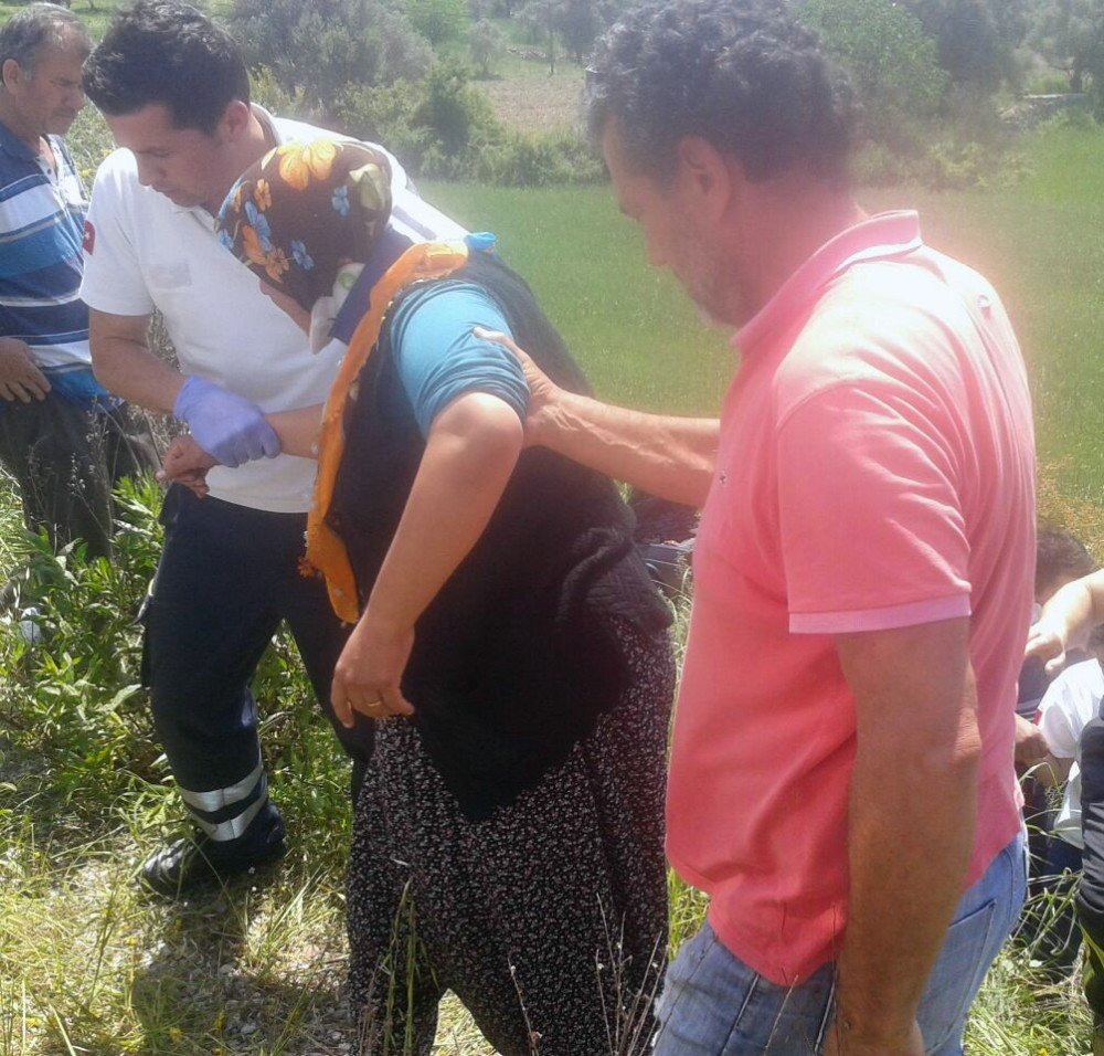 Milas’ta Otomobil Tarlaya Uçtu; 2 Yaralı