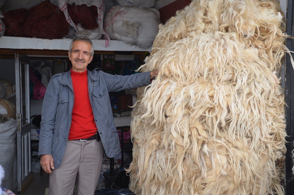 Koyun Yününe İlgi Azaldı