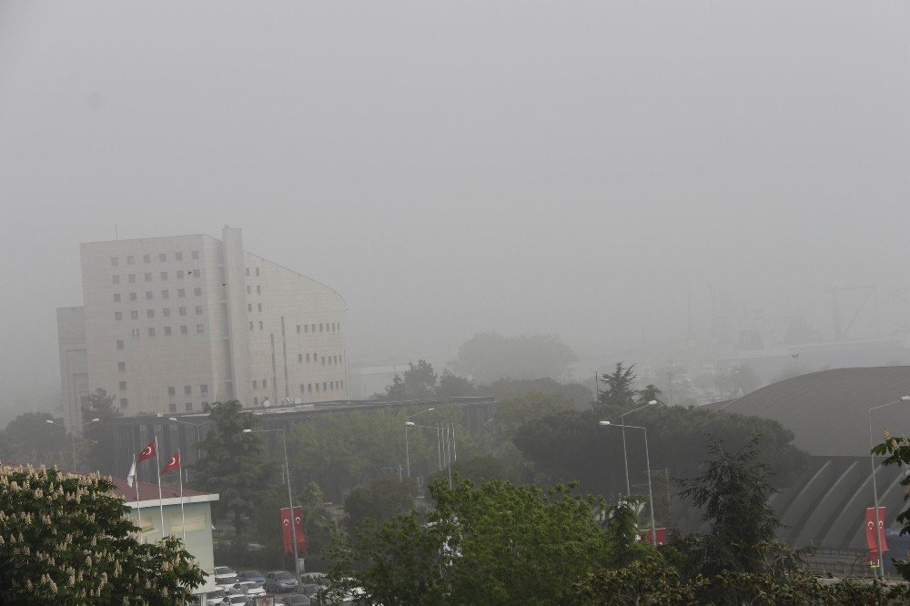 Pis Koku Ve Sis Şehri Esir Aldı