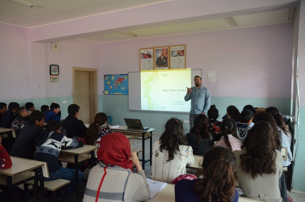 Sarıkamış Bozayılarını İtalya-türkiye Koruyacak