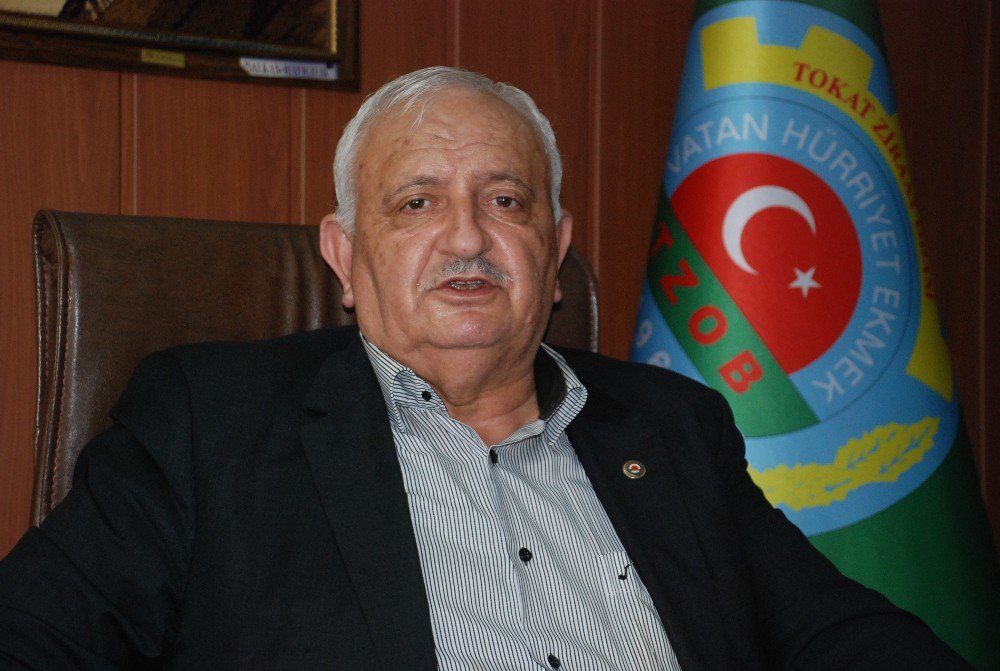 Tokat’ta Domates Ekim Sahası Yüzde 30 Oranında Azaldı