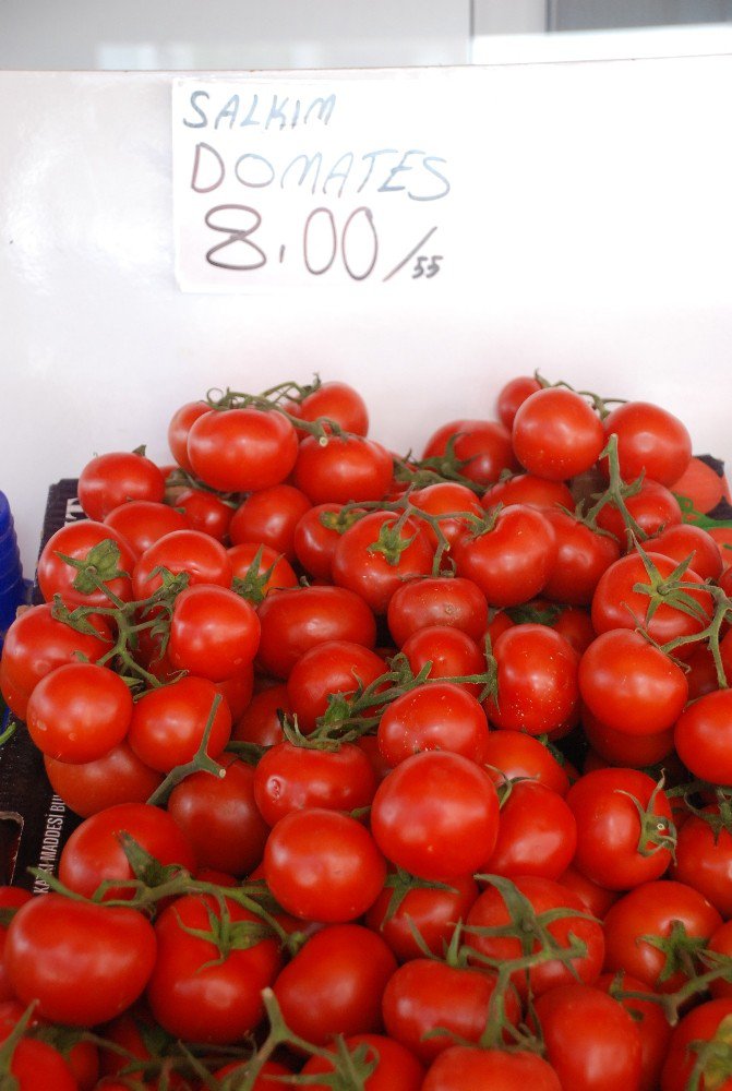 Tokat’ta Domates Ekim Sahası Yüzde 30 Oranında Azaldı