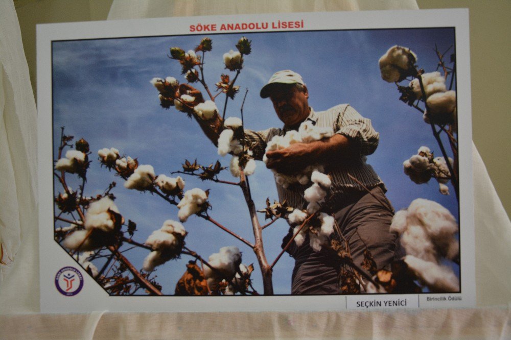 Söke’de Fotoğraf Ve Kısa Film Yarışması Ödülleri Sahiplerini Buldu