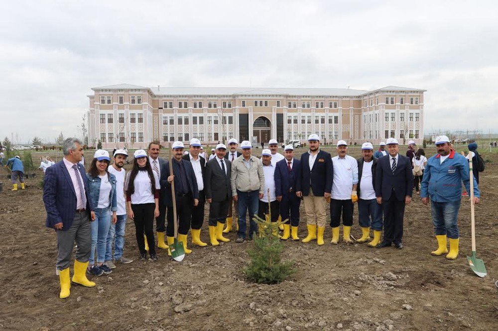 Aiçü’de 500 Ağaç Toprağa Ekildi