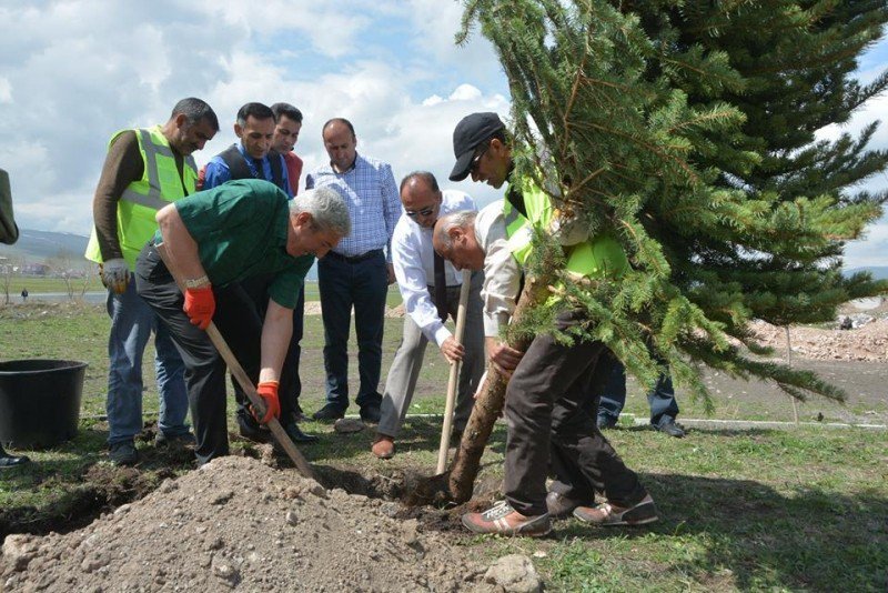 Ardahan’da Fidan Dikim Çalışması Aralıksız Devam Ediyor