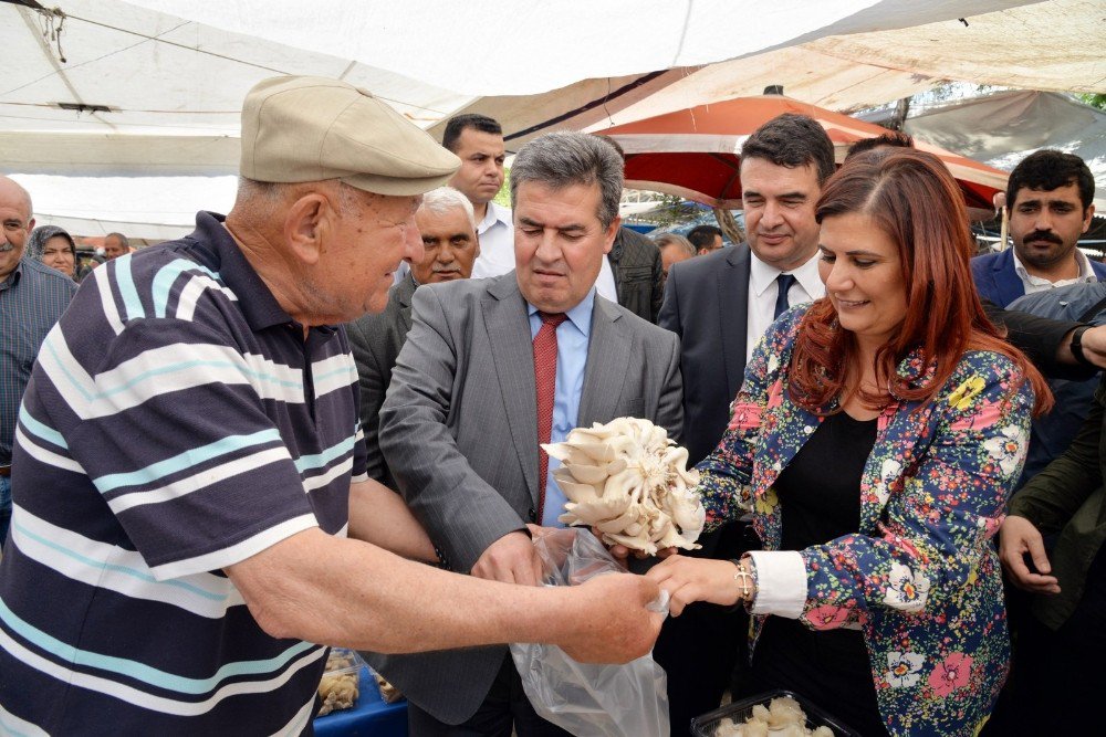 Başkan Çerçioğlu Buharkent’te Yerli Fide Dağıttı