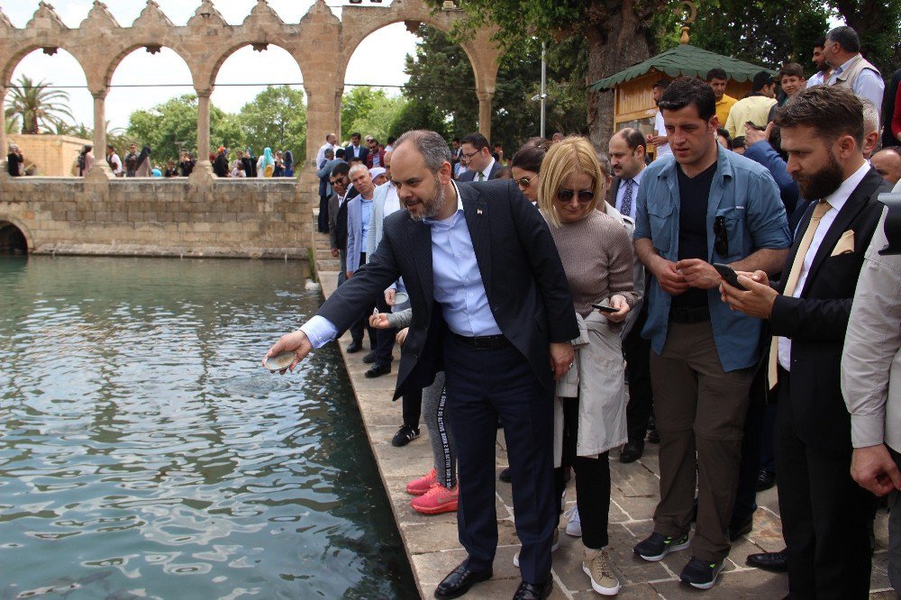 Bakan Kılıç, Balıklıgöl’ü Ziyaret Ederek Balıklara Yem Attı