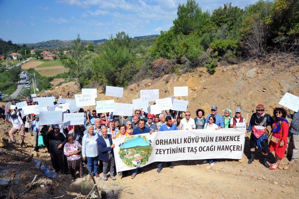 Taş Ocağına Karşı Zeytin Diktiler