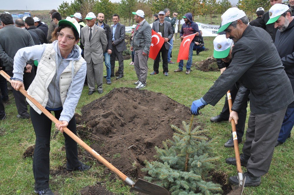 Kars’ta 15 Temmuz Hatıra Ormanı Oluşturuldu