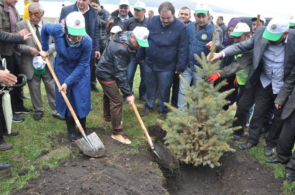 Kars’ta 15 Temmuz Hatıra Ormanı Oluşturuldu