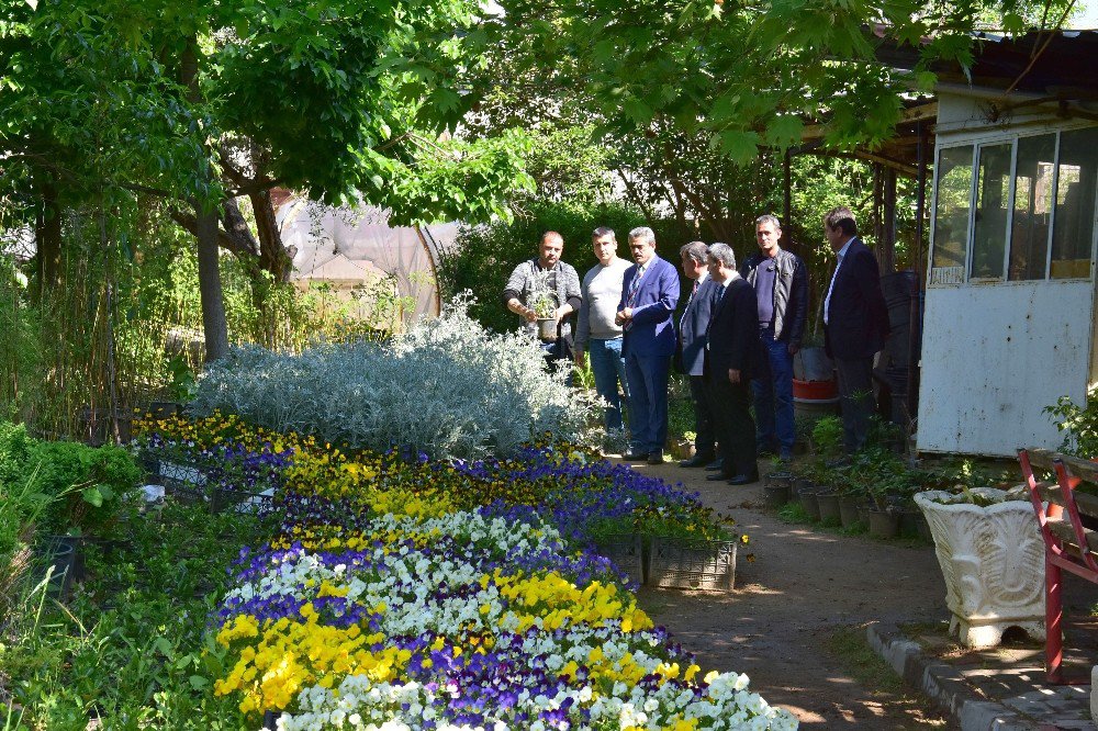 Nazilli’de Parklara Kadın Eli Değdi