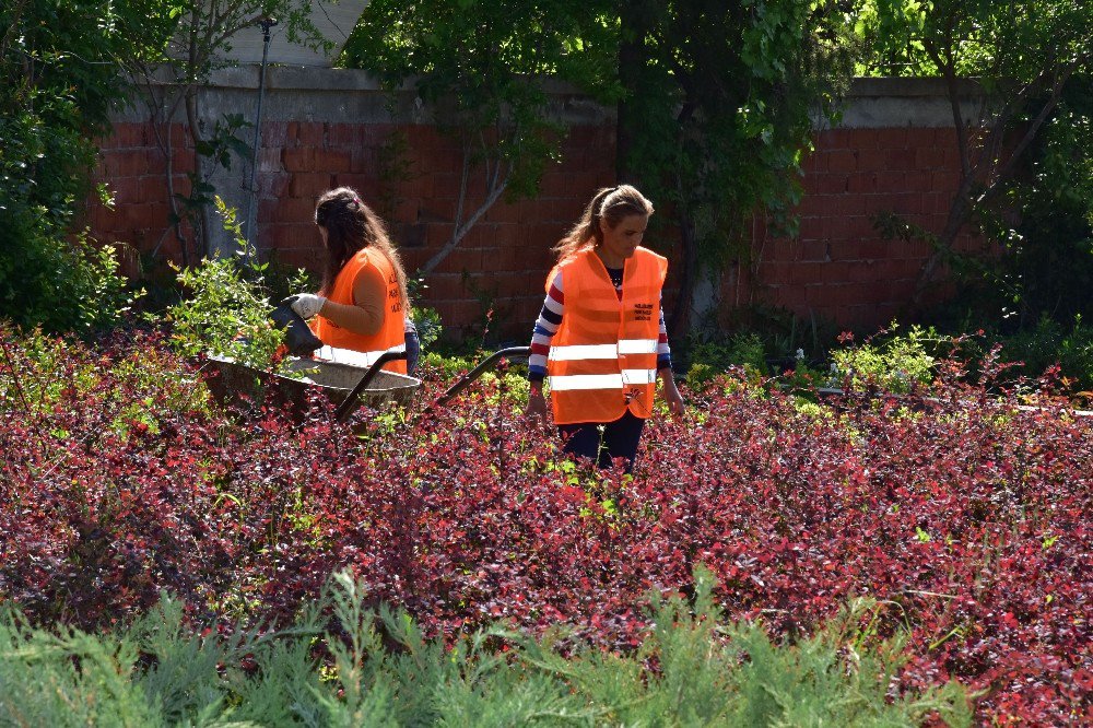 Nazilli’de Parklara Kadın Eli Değdi