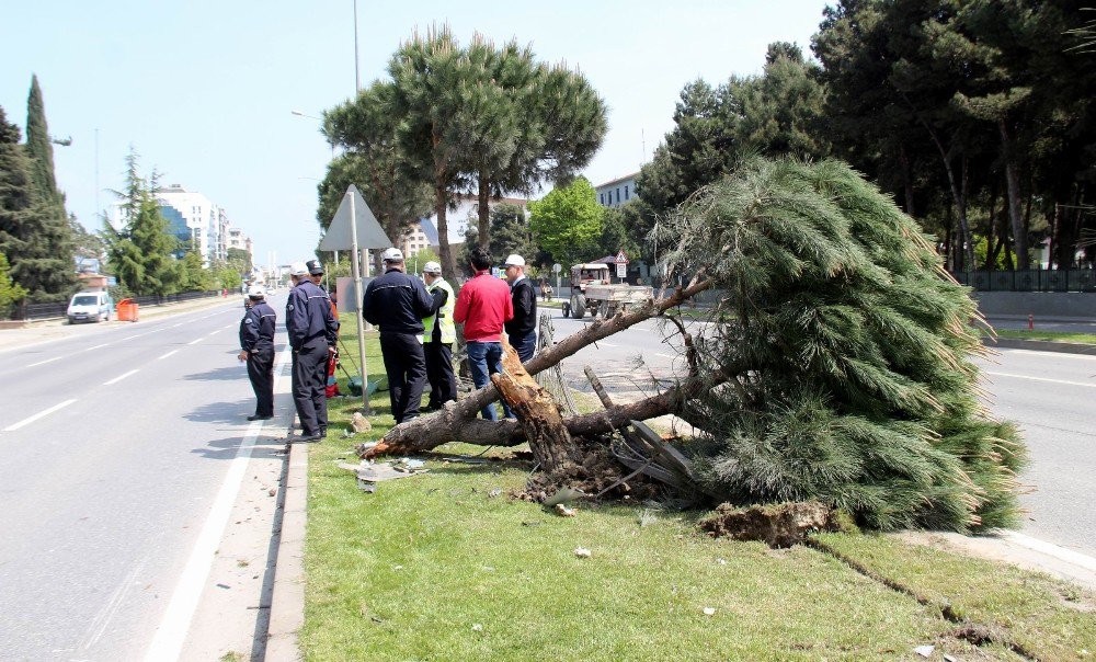 Samsun’da Trafik Kazası: 2 Ağır Yaralı