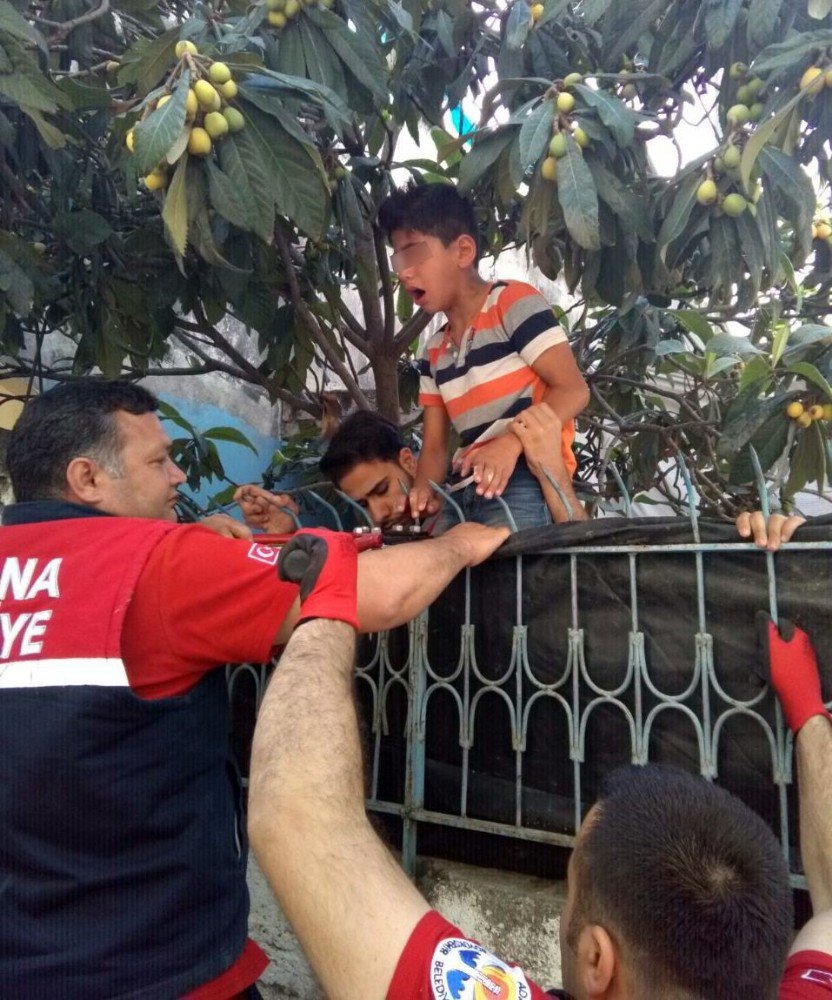 Yenidünya Yemek İsterken Eline Demir Parmaklık Saplandı