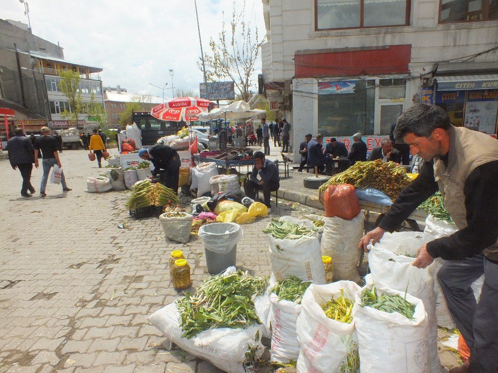 Dağdan Topladıkları Otları Satarak Geçimlerini Sağlıyorlar