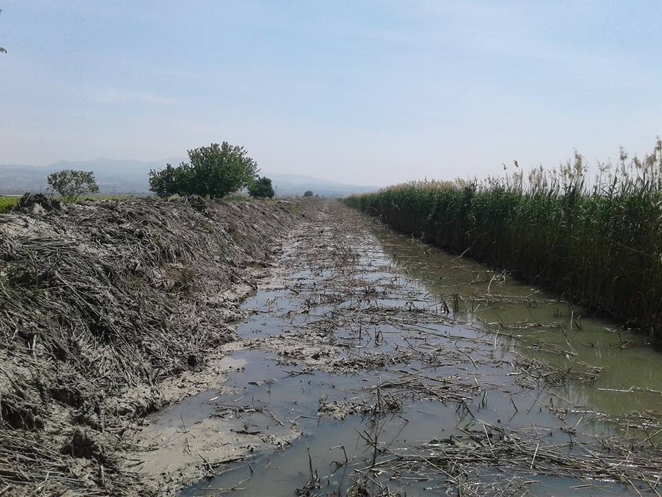 Kötü Koku Ve Sinekten Kurtuldular