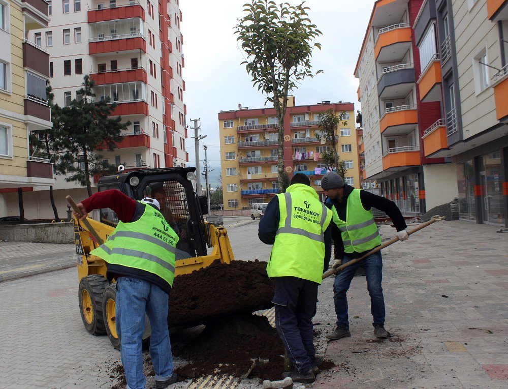 Tekkeköy Belediyesinden Estetik Dokunuş