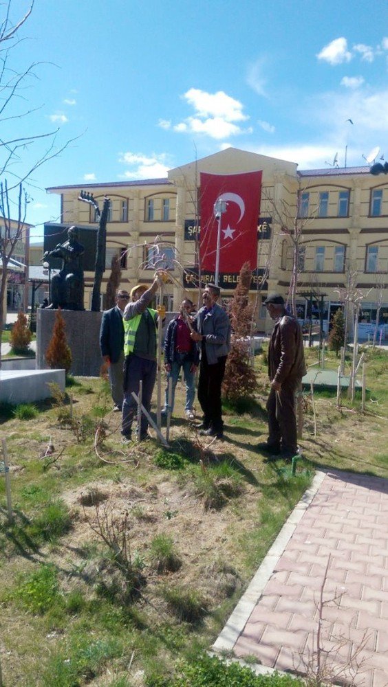 Belediye Çalışanlarına Ağaç Budama Eğitimi