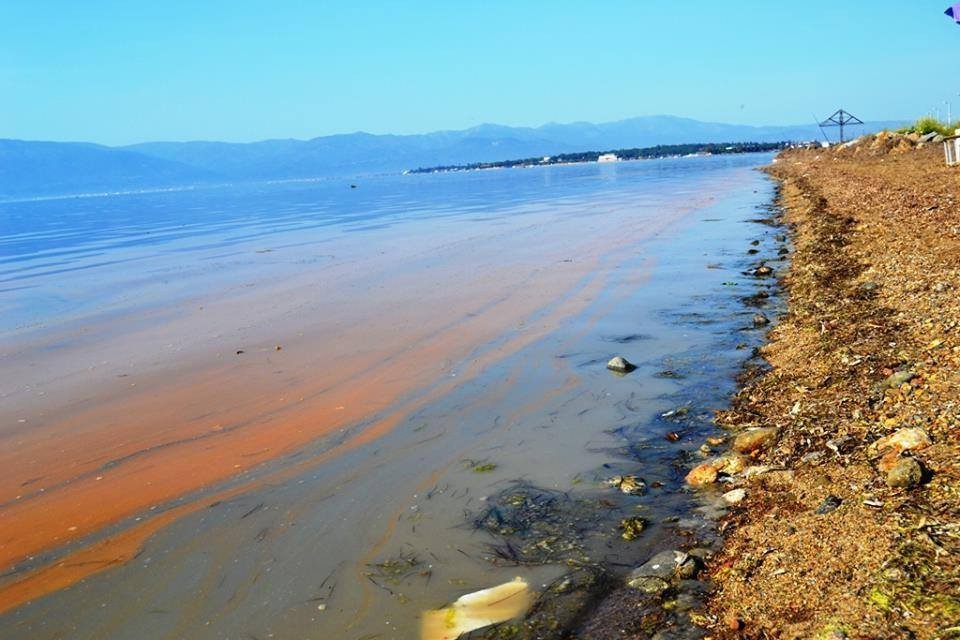 Burhaniye’de Deniz Sarıya Boyandı