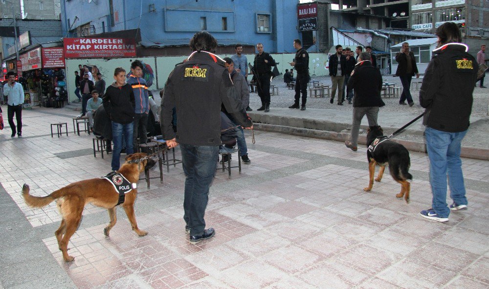 Van’da Narkotik Operasyonu