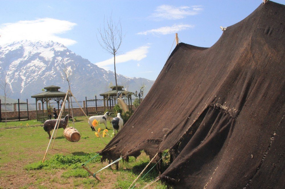 Hakkari Evi Kente Renk Katıyor