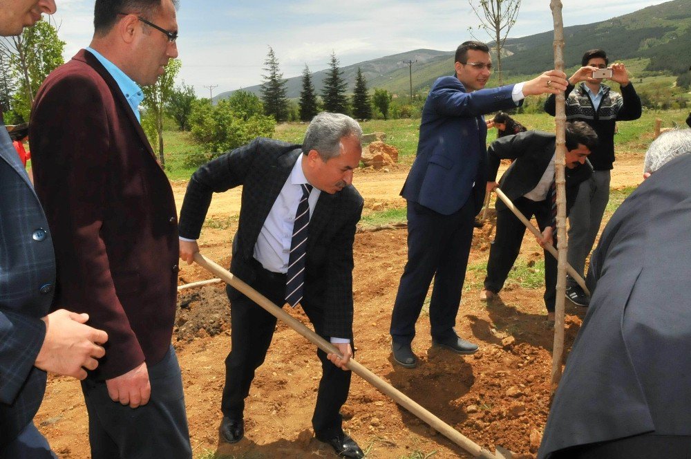 Akşehir Belediyesi’nden 15 Temmuz Şehitleri Hatıra Ormanı