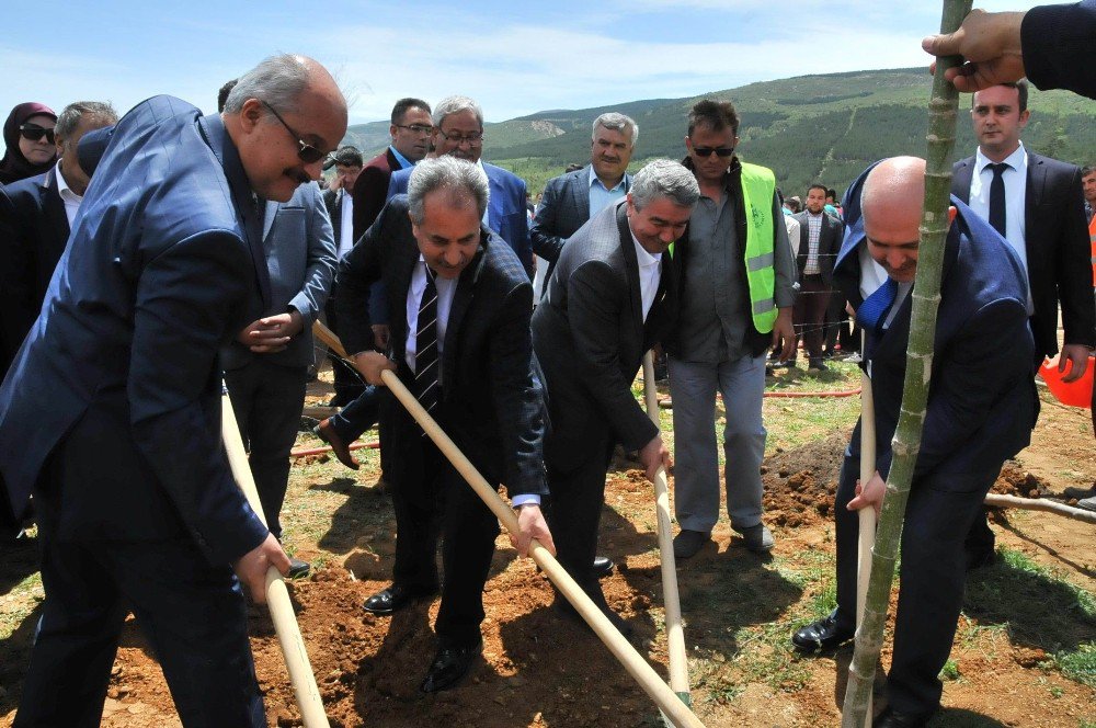 Akşehir Belediyesi’nden 15 Temmuz Şehitleri Hatıra Ormanı