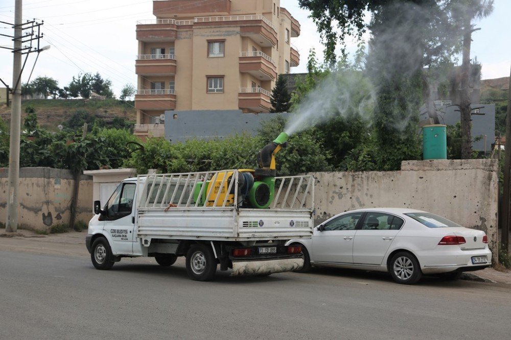 Cizre Belediyesi İlaçlama Çalışmalarını Sürdürüyor