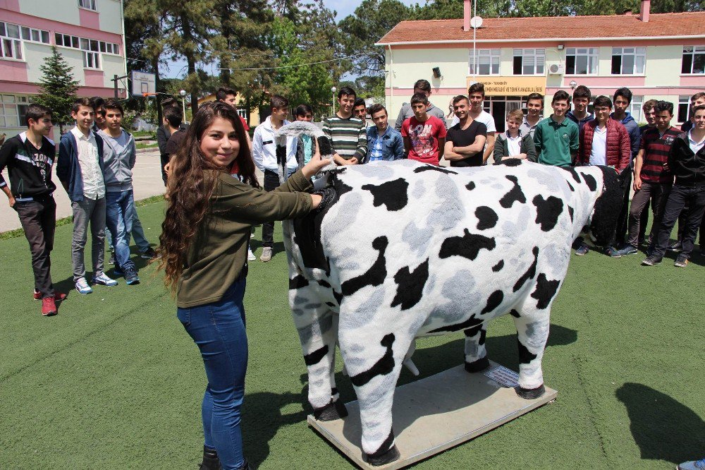 Bu Liseyi Bitiren İş Sorunu Yaşamıyor