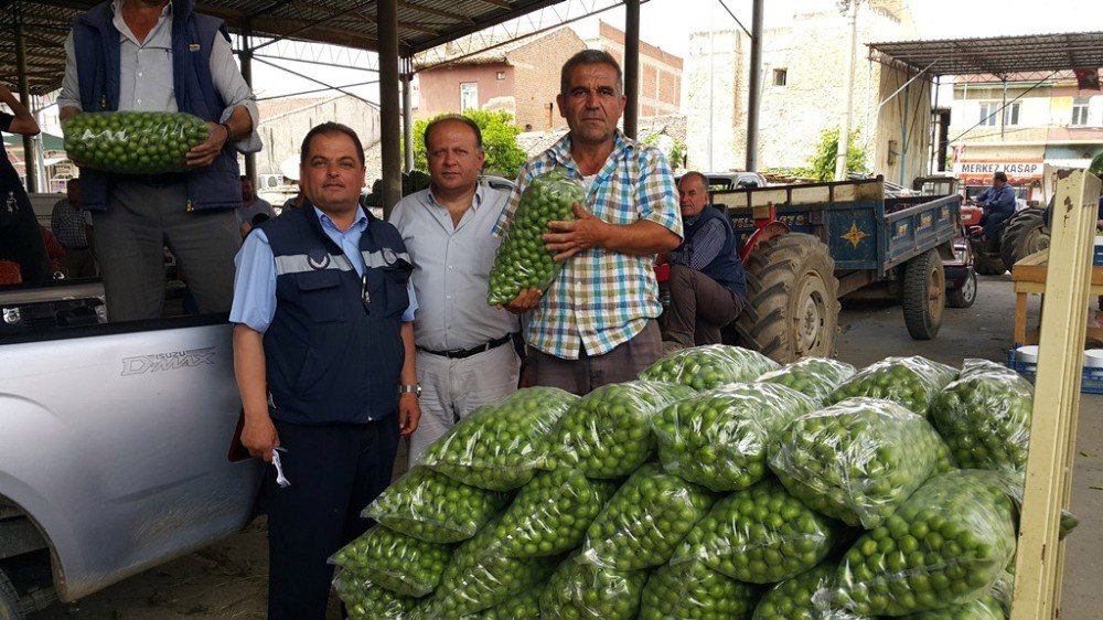 Kısa Süre Fiyatı 400 Lira Olan Erik Şimdi 7 Tl