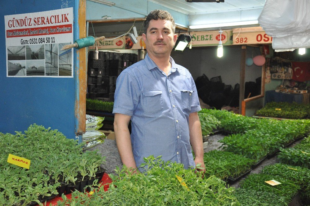 Eskişehir’de Sebze Ve Meyve Fideleri Tezgahlardaki Yerlerini Aldı