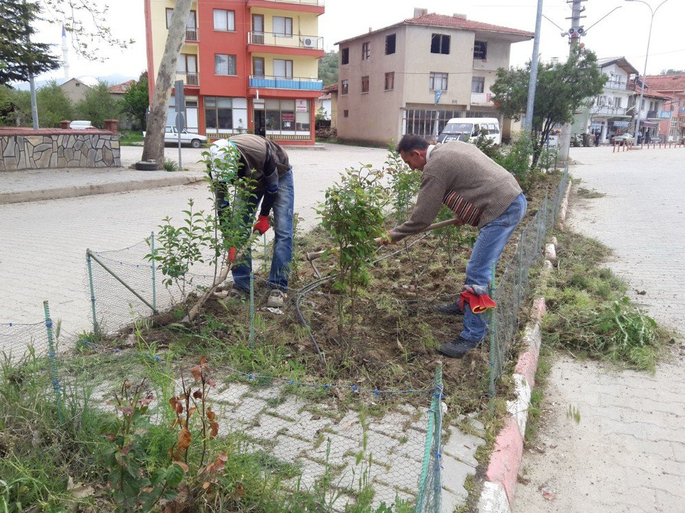 Pazarlar Belediyesinden Park Ve Refüjlere Bahar Bakımı