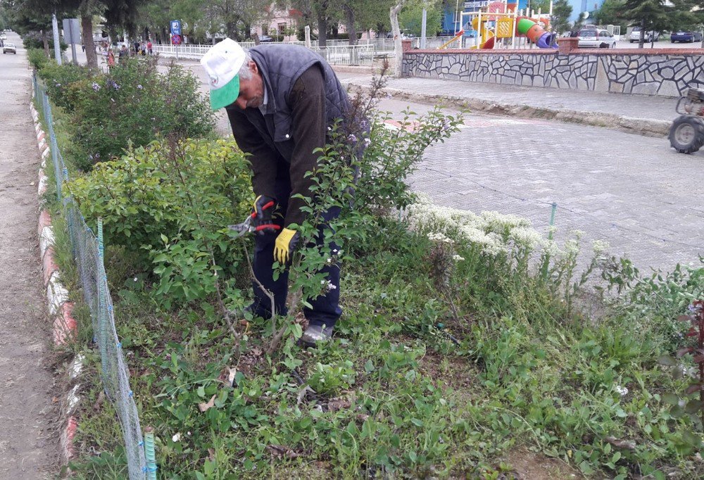 Pazarlar Belediyesinden Park Ve Refüjlere Bahar Bakımı