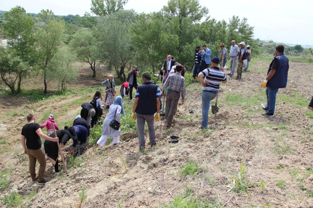 Edirne’de Uluslararası Öğrenciler Fidan Dikti