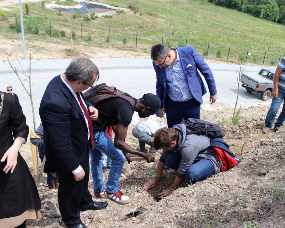 Edirne’de Uluslararası Öğrenciler Fidan Dikti