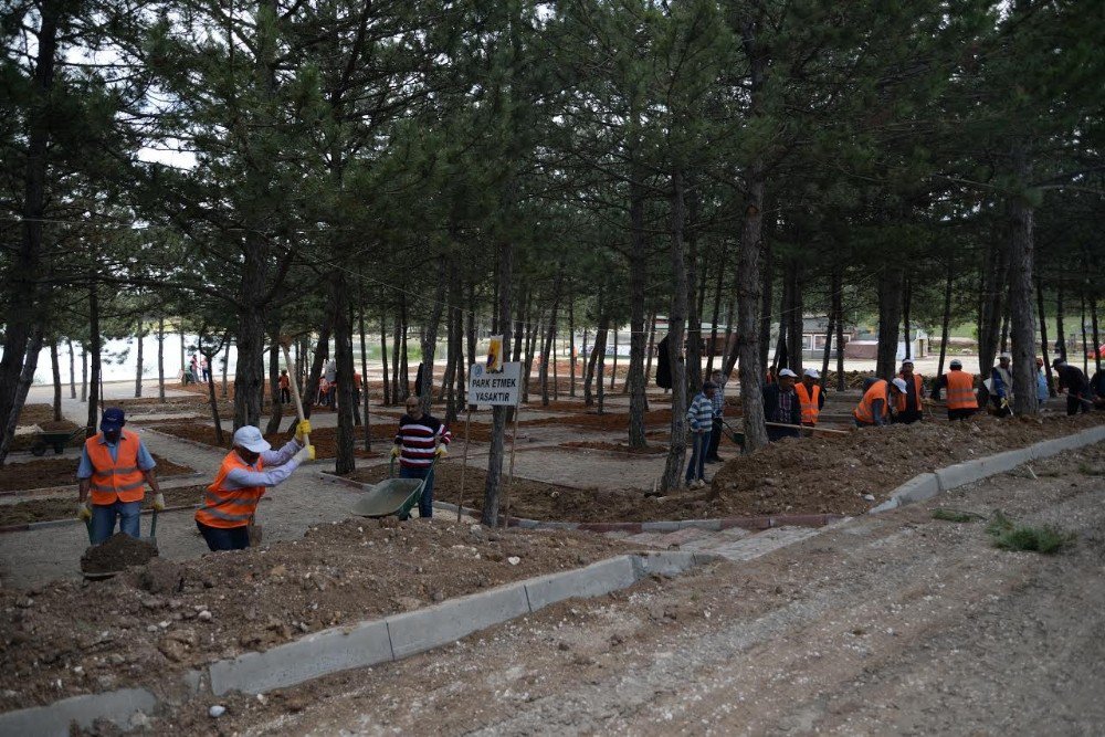 Bilecik Belediyesi’nden Kapsamlı Çalışma