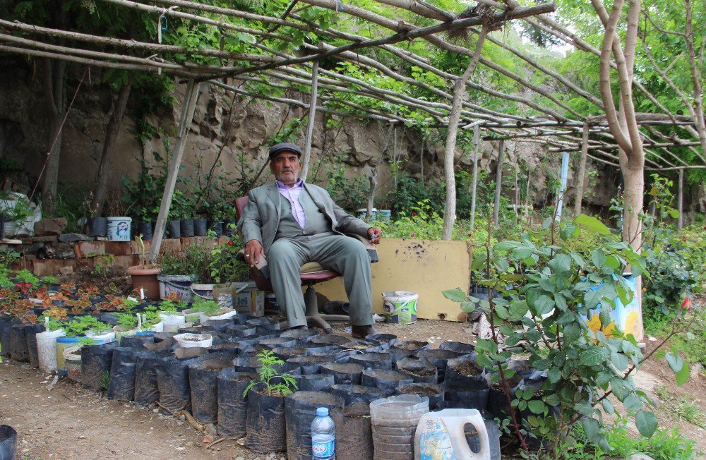 Hobisi Mesleği Oldu