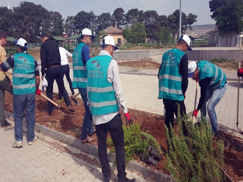 12 Kişi Kamu Hizmeti Cezasını Ağaç Dikerek Ödüyor