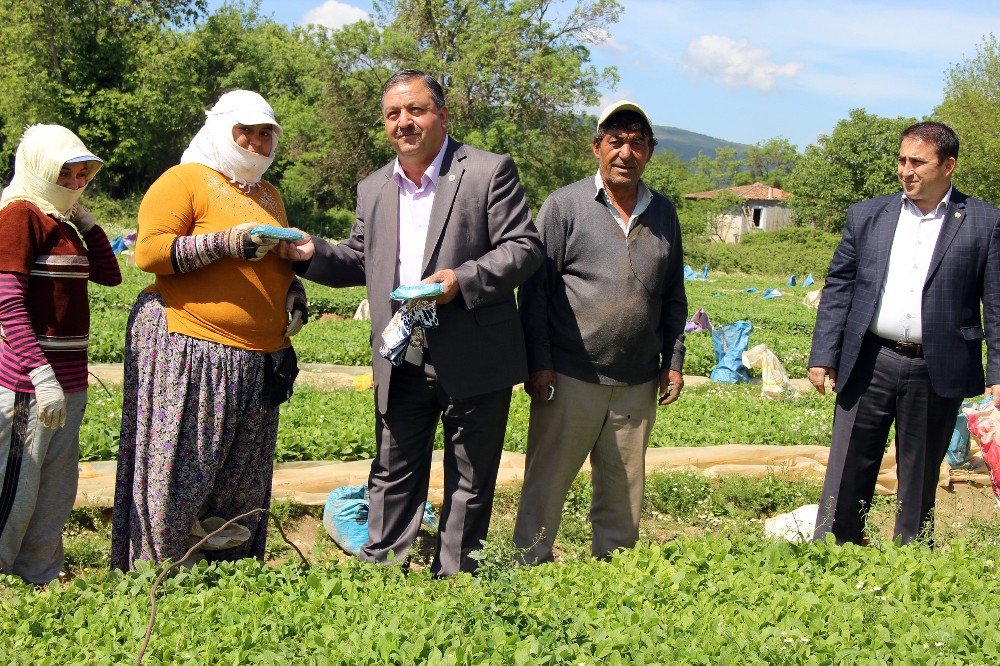 Baştuğ Çiftçi Bayramını Çiftçinin Ayağına Giderek Kutladı