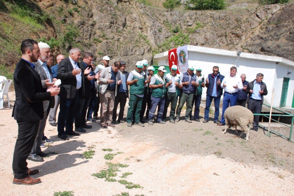 Bakacak Barajı’ndan Tarım Arazilerine Su Verildi