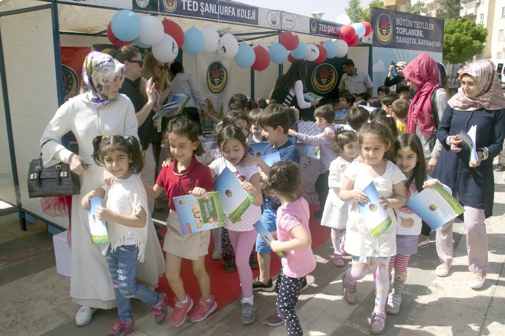 Anaokulları Bahar Şenliğinde Buluştu