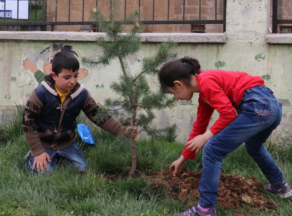 Bitlis’te Fidan Dikimi