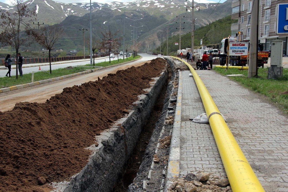 Bitlis’te Doğalgaz Çalışmaları Devam Ediyor