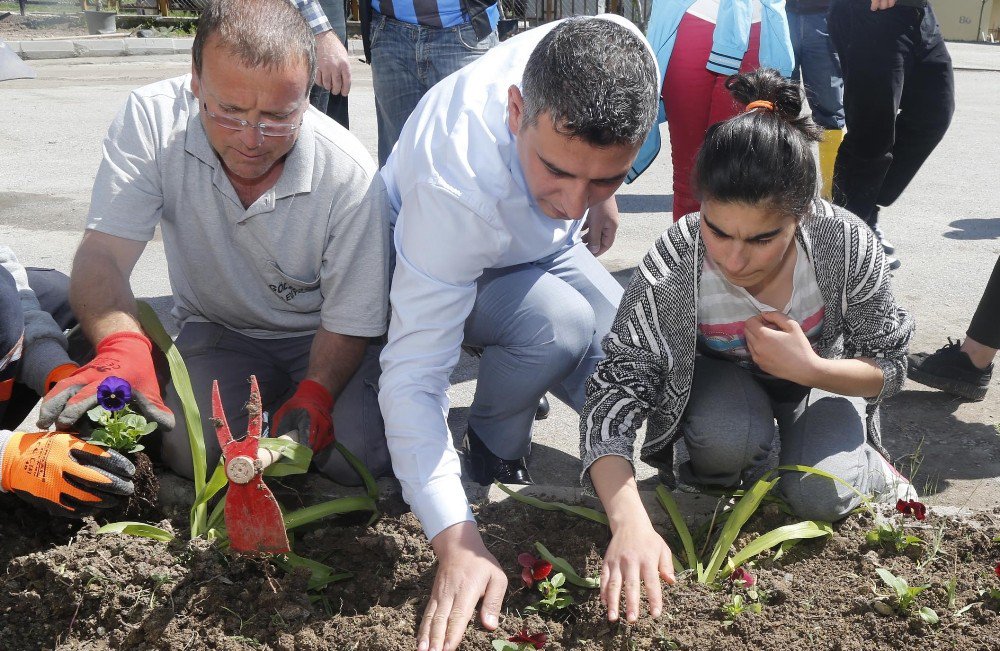 Gölbaşı’nda Özel Çocuklarla Çiçek Ve Ağaç Dikimi Etkinliği