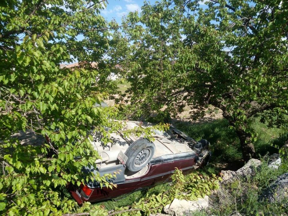 Malatya’da Otomobil Kayısı Bahçesine Uçtu: 1 Yaralı