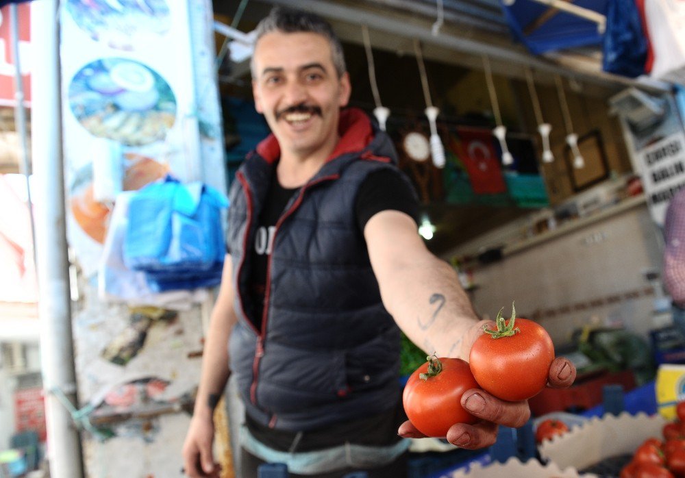 Tavukla Yarışan Domatesin Ateşi Düştü